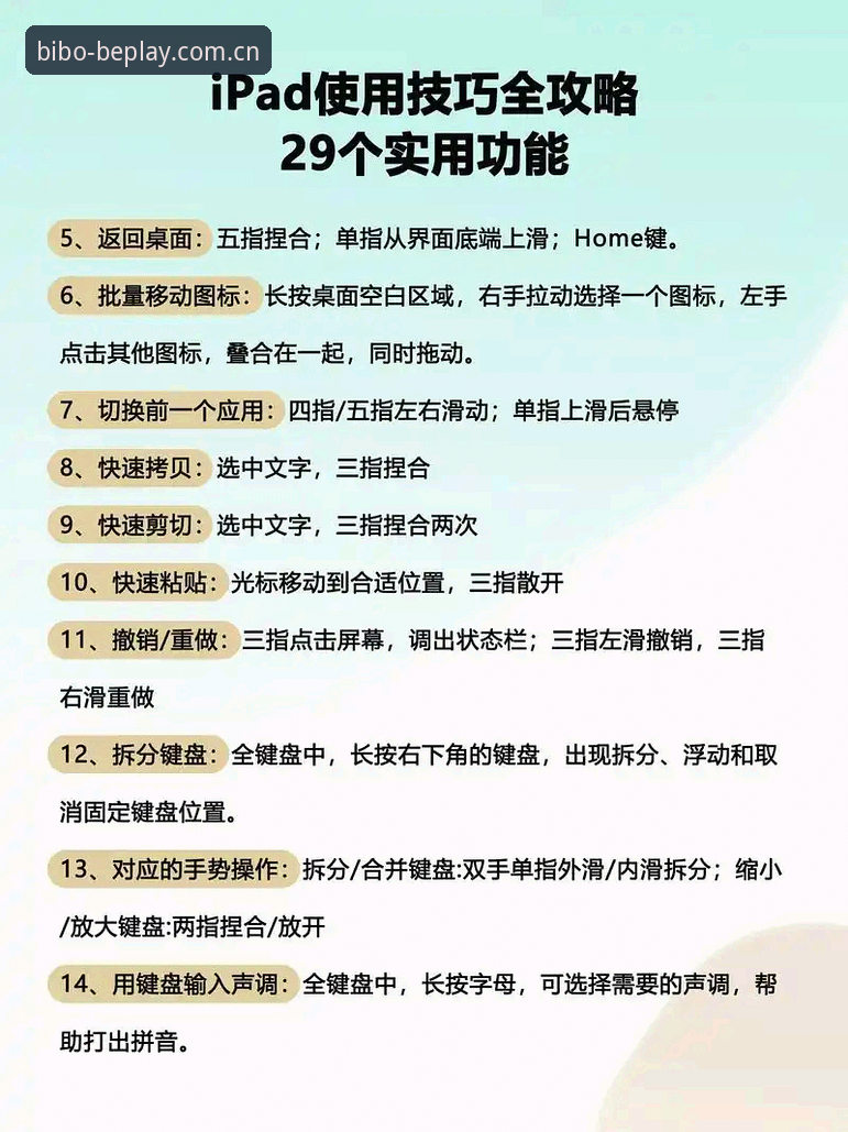 必博官方平台使用教程 - 从安装到高效操作的完整指南